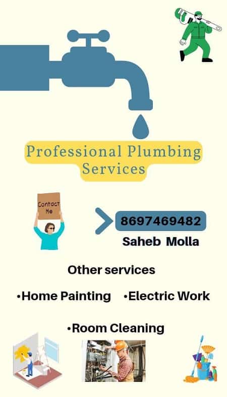 Professional Plumbing Services