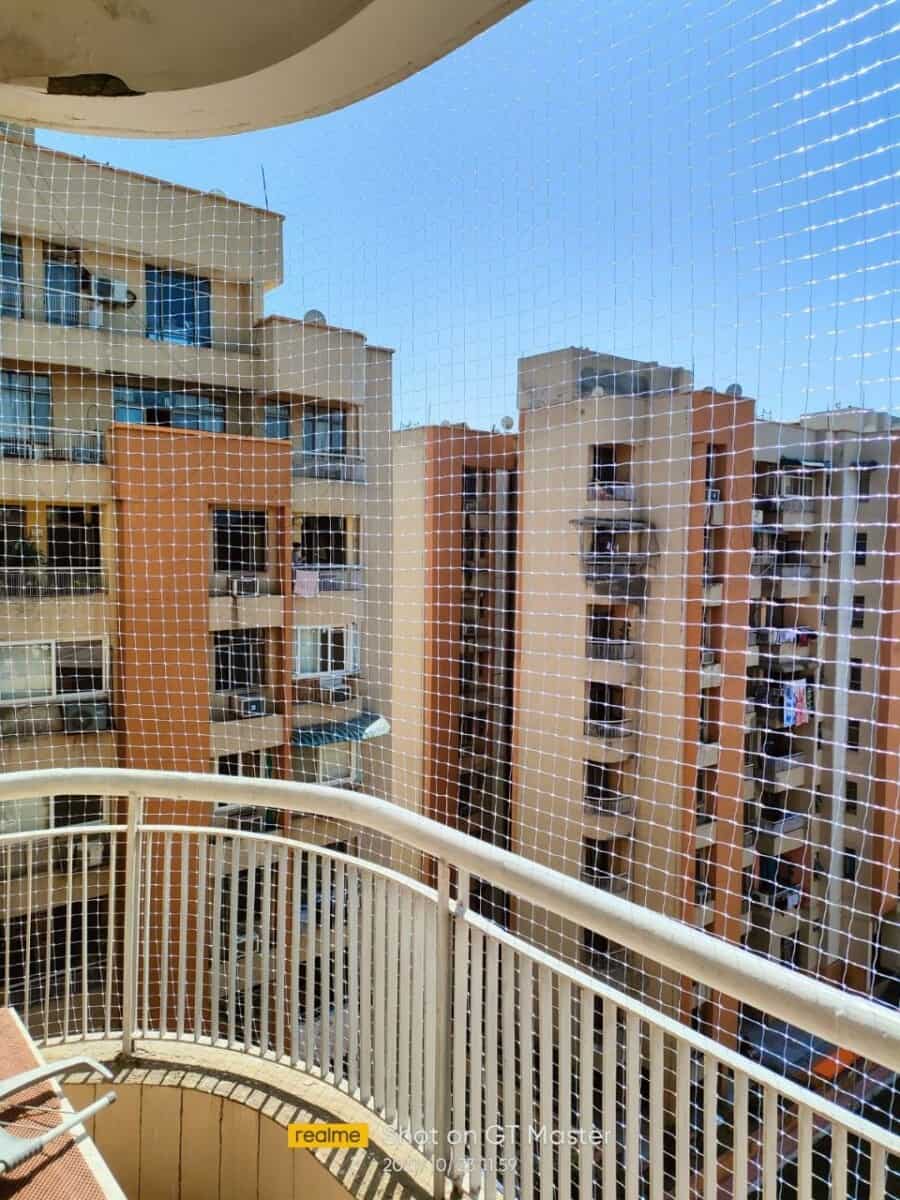 Exterior Bird Net service