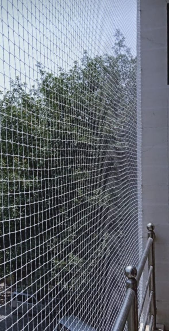 Exterior Bird Net service