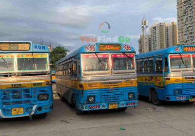 239bus