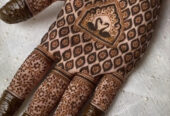 Mehandi, Makeup, Facial, Saree Draping, Hairstyle, Nail Art all service are available