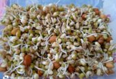 EcoBoost Sprouts