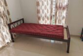 Single and Queen bed with mattress for Rent