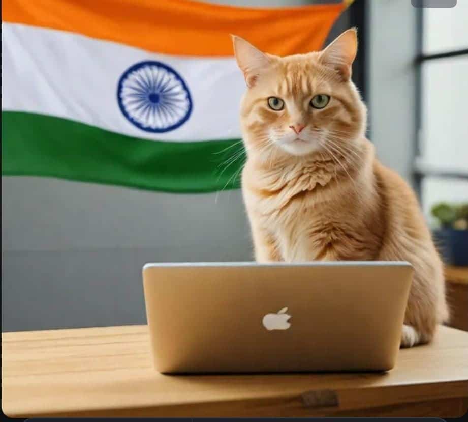 Laptop/desktop repair