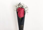 Wishmoraa | Delivering Love and Gifts to Shapoorji Newtown