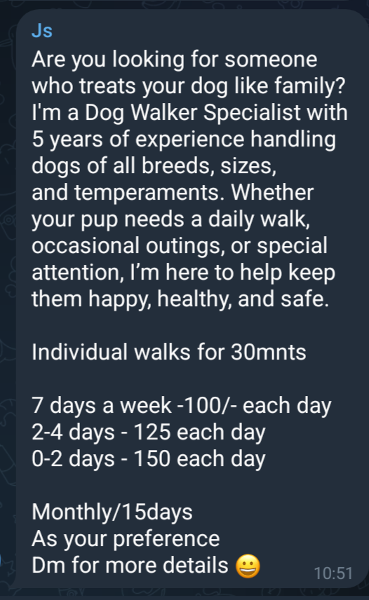 Professional Dog Walker