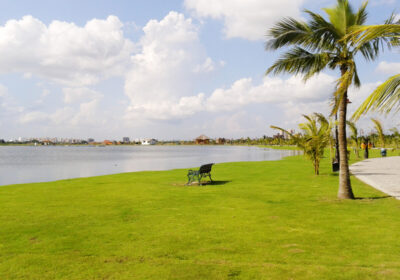 Lush_green_grass_along_the_lake