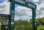 Aircraft Museum
