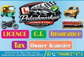 Palashnaskar Licence and car training centre